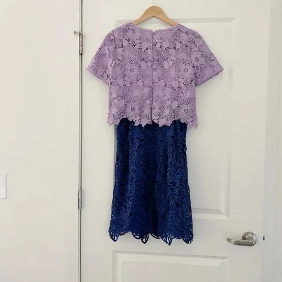 Anthropologie Eri + Ali Graceanne Colorblock Lace Sheath Dress - Picture 4 of 7